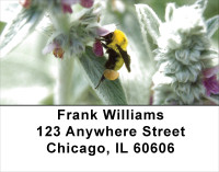 Bees On Flowers Address Labels | LBANK-18