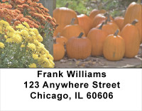 Colorful Fall Mums Address Labels | LBFLO-31