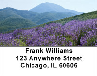 Mountain Wildflowers Address Labels | LBFLO-65