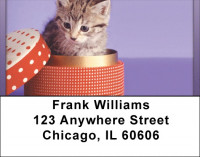 Kitten In A Box Address Labels | LBQBA-92