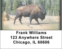 Buffalo Address Labels | LBZANI-49