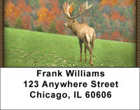 Deer in Four Seasons Address Labels | LBZANI-59